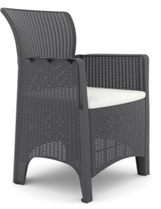 Sillón ILEÓN, polipropileno antracita, cojín beige