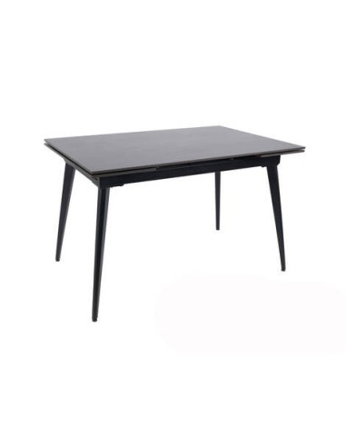 MESA COMEDOR MOD. MONI